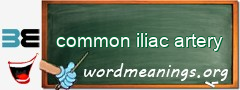 WordMeaning blackboard for common iliac artery